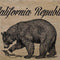 Cali Republic Vintage Surface Pro Tablet Skin